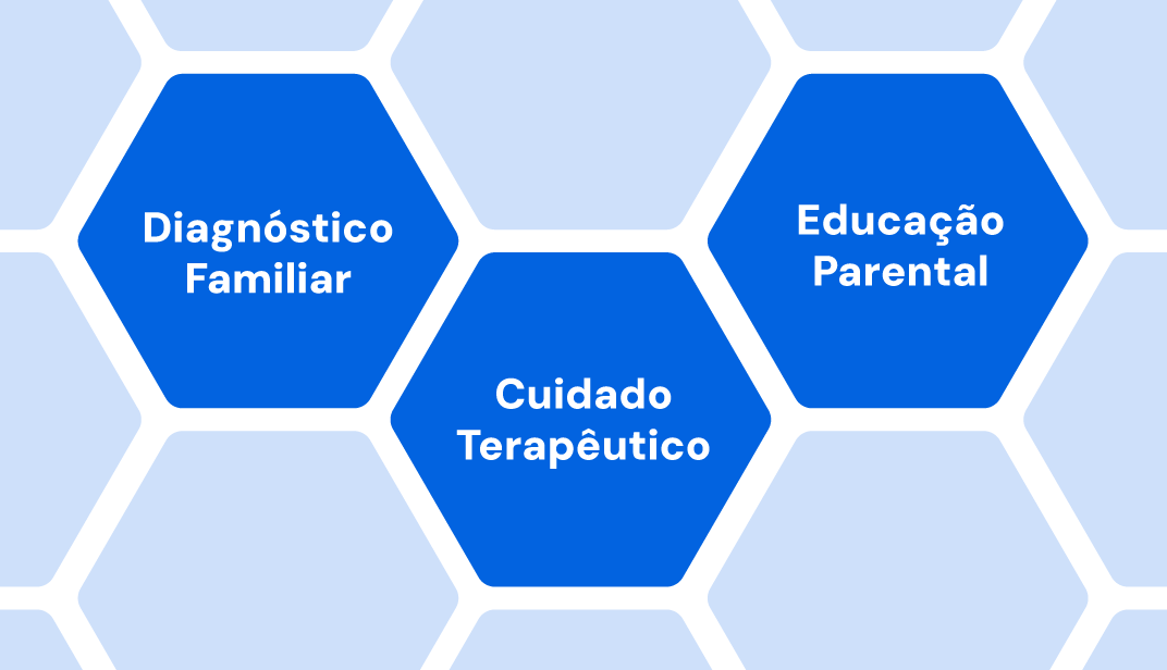 joyz's clinical model